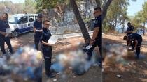 ZABITA EKİPLERİNDEN ÇEVREYİ KİRLETENLERE CEZA